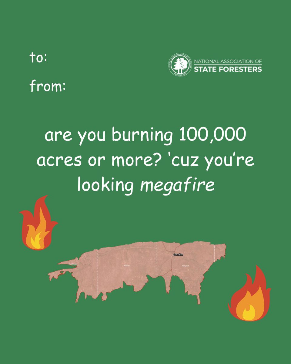 State Foresters tweet media