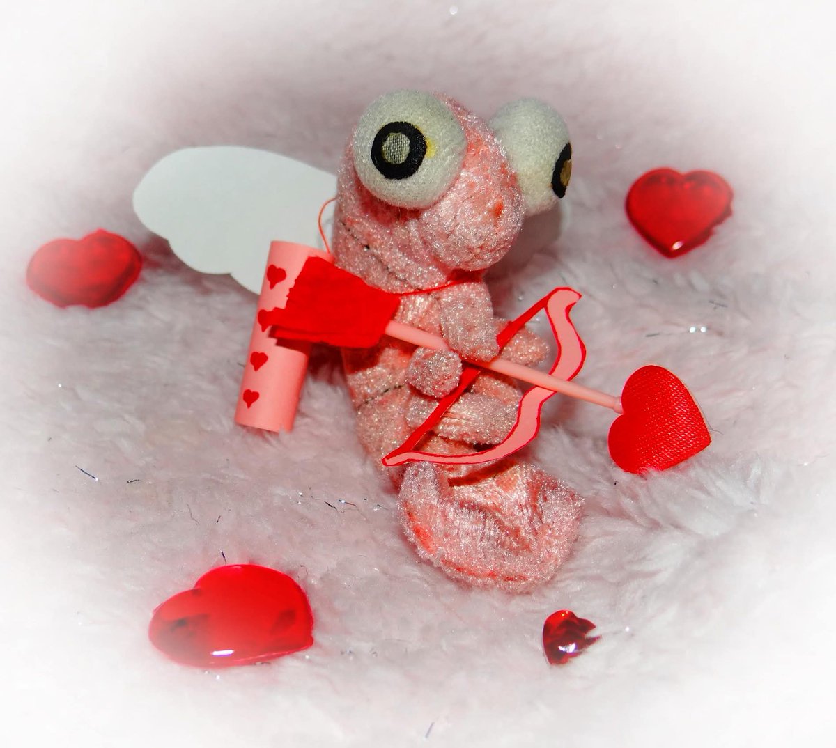 Won't you be my Valentine? ❤💖💘