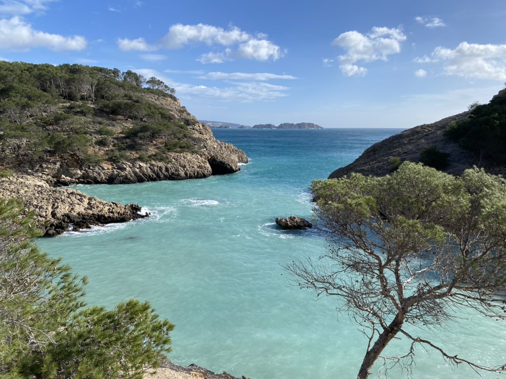 #Mallorca heute: jetzt ist die Zeit der Mandelblüte; bei einer Wanderung beim Dorf Es Capdella ist es besonders schön zu erleben; es ist immer noch ziemlich windig aber die Sonne kommt besser zum Zuge als zuletzt 4) Cala Rafax