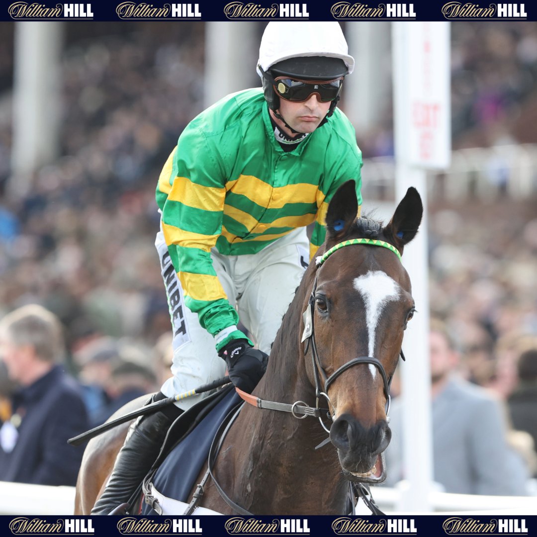 William Hill Racing tweet media