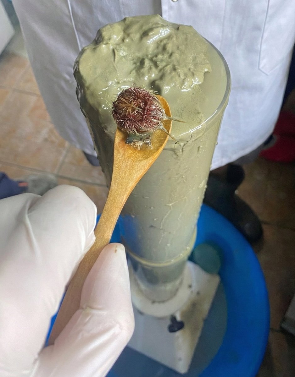 Marmara Denizi Plastik Kirliliği tweet media