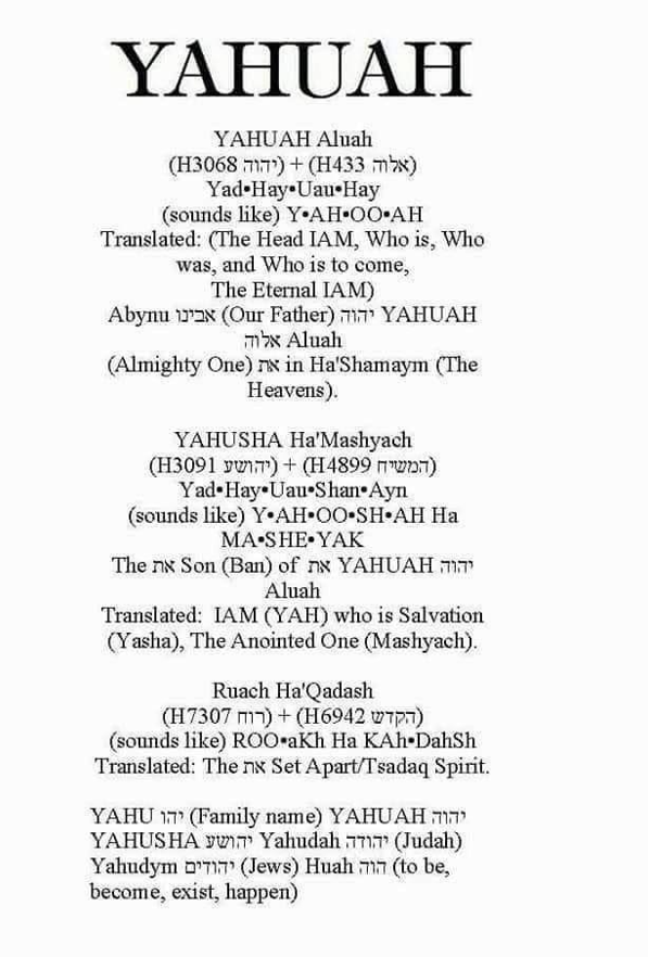 MarceloYAH tweet media