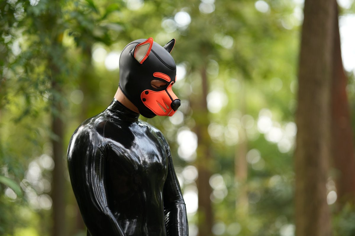 小狗的夏天 tweet media