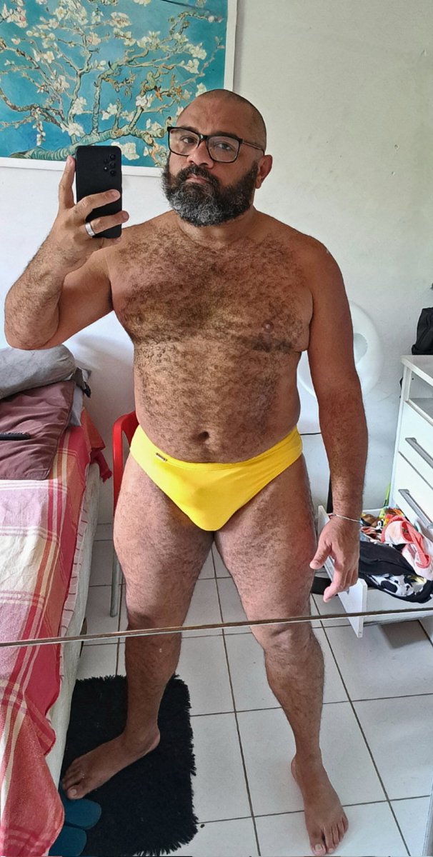 Apenas um Urso tweet media