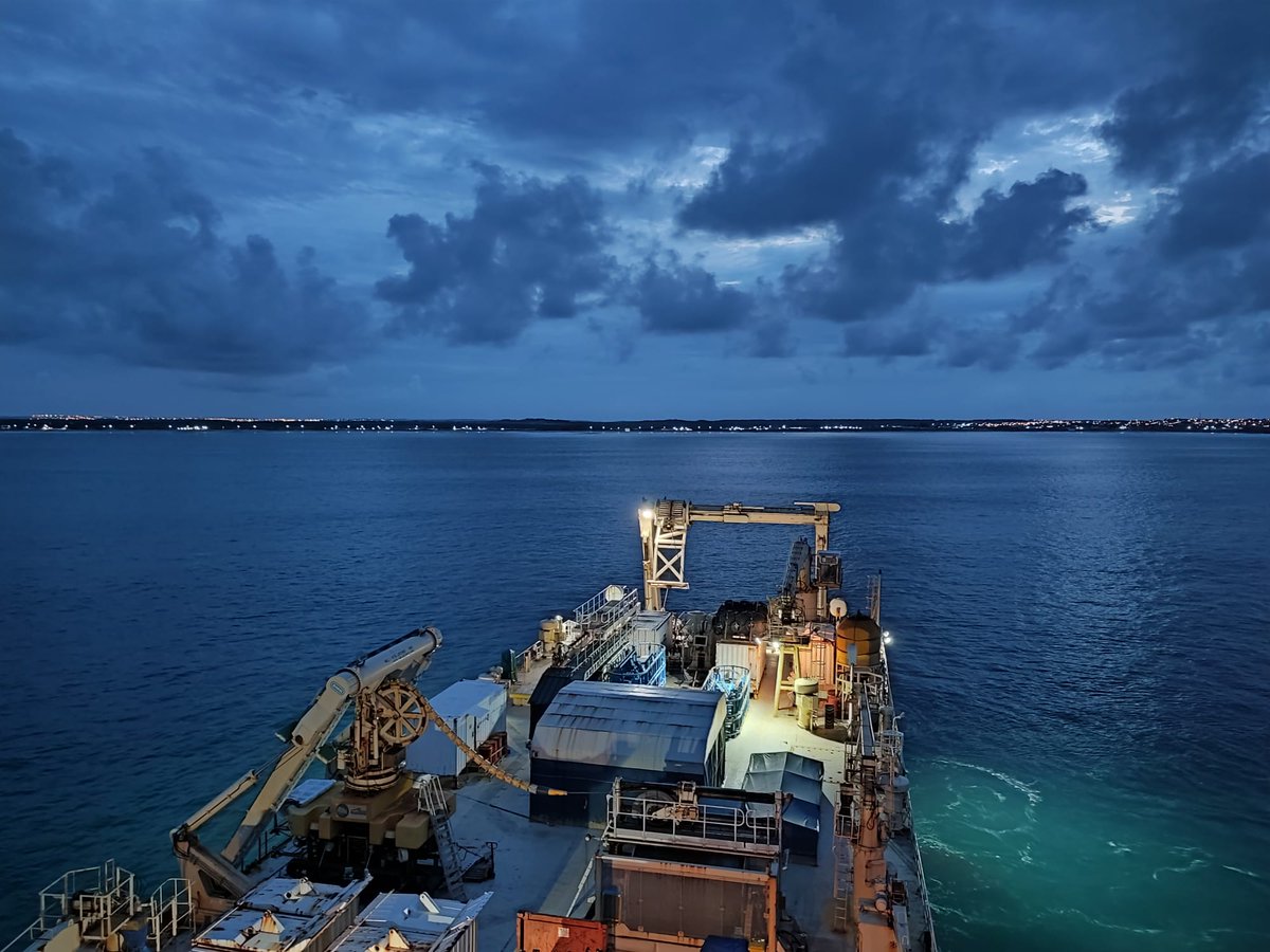 Tommy Topic 🇪🇨🇭🇷🇺🇦 tweet media