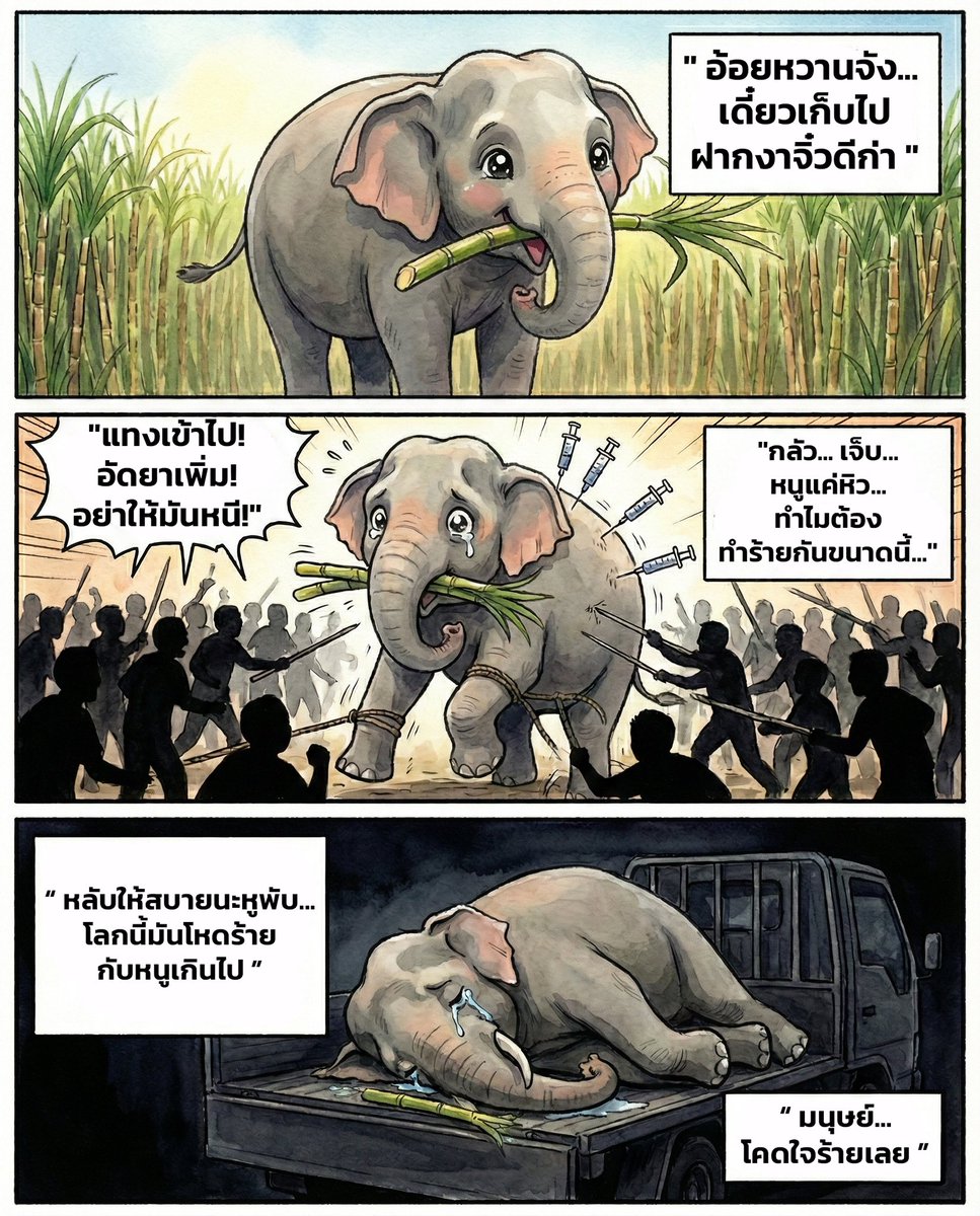 Kid Puvaphat tweet media