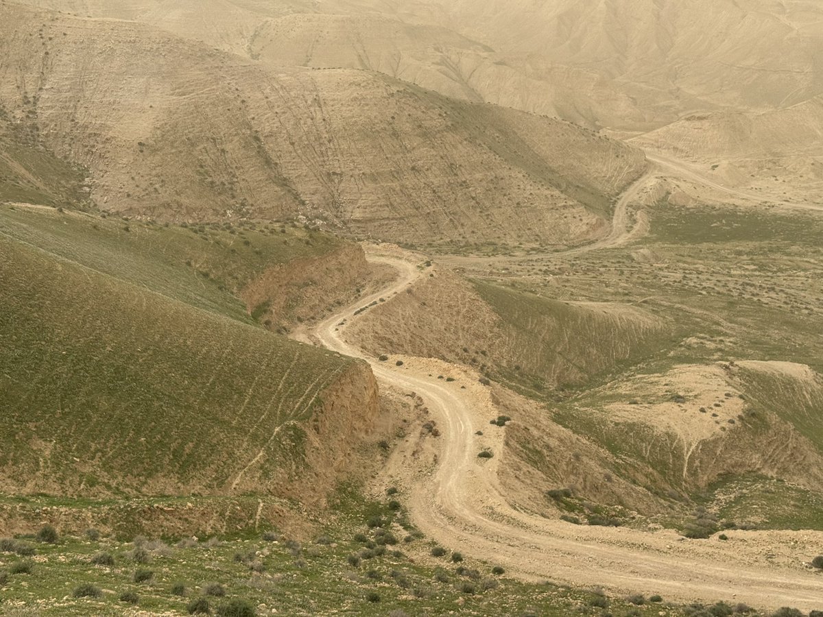 Света Стругацкая tweet media