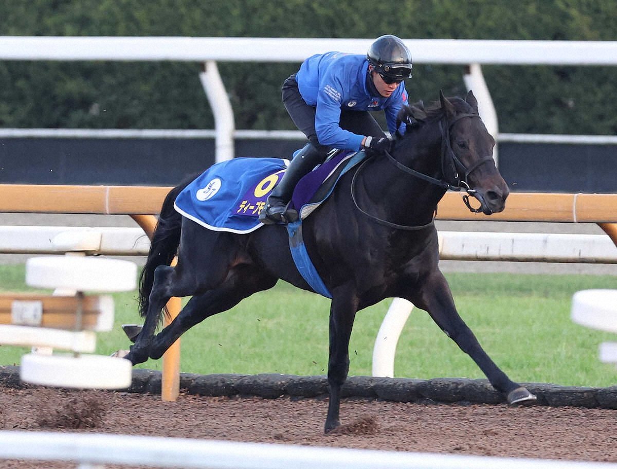 快勝】8歳ディープモンスターがカタールG2制覇！ディープ産駒17年連続
