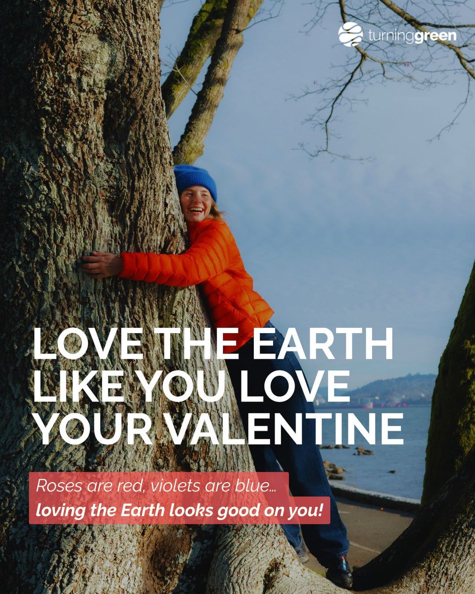 Turning Green tweet media