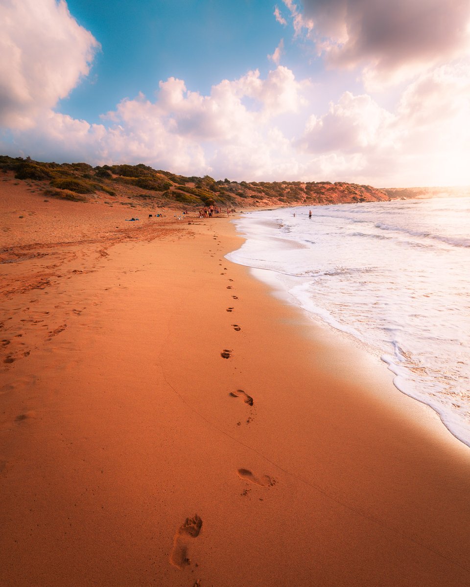 Nikita & Partners Limited tweet media