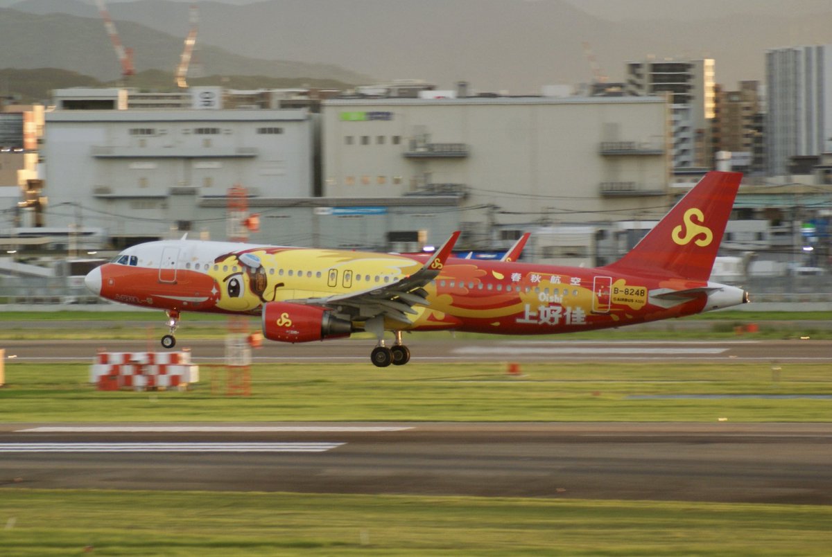 yuko_kamioshi1's tweet image. Spring Airlines / 春秋航空🇨🇳

Airbus A320-214
Reg:B-8248
(Oishi Livery)

Data:2025.9.15 / Fukuoka Airport📸

#fukuokaairport #springairlines
#福岡空港 #春秋航空 #展望デッキ
#空港好き #飛行機撮影 #飛行機写真
#航空ファン #spotter #飛行機好き