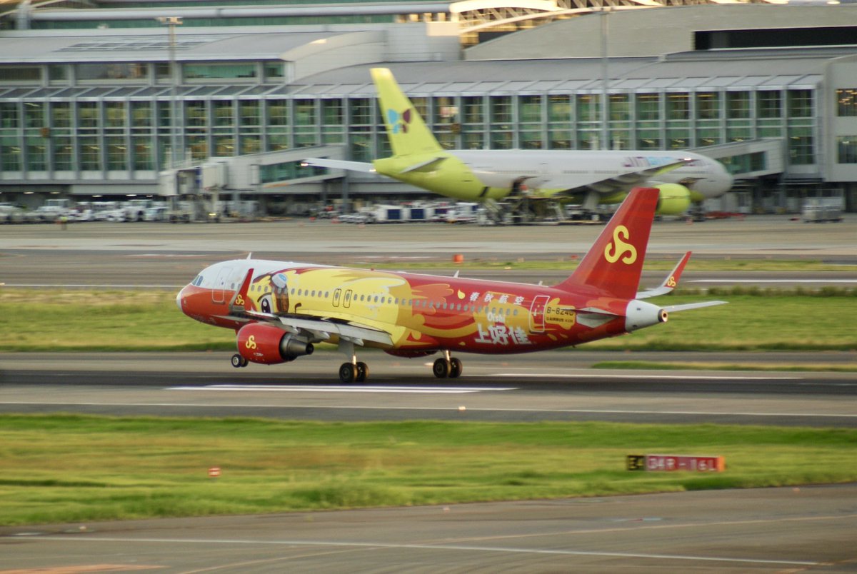 yuko_kamioshi1's tweet image. Spring Airlines / 春秋航空🇨🇳

Airbus A320-214
Reg:B-8248
(Oishi Livery)

Data:2025.9.15 / Fukuoka Airport📸

#fukuokaairport #springairlines
#福岡空港 #春秋航空 #展望デッキ
#空港好き #飛行機撮影 #飛行機写真
#航空ファン #spotter #飛行機好き