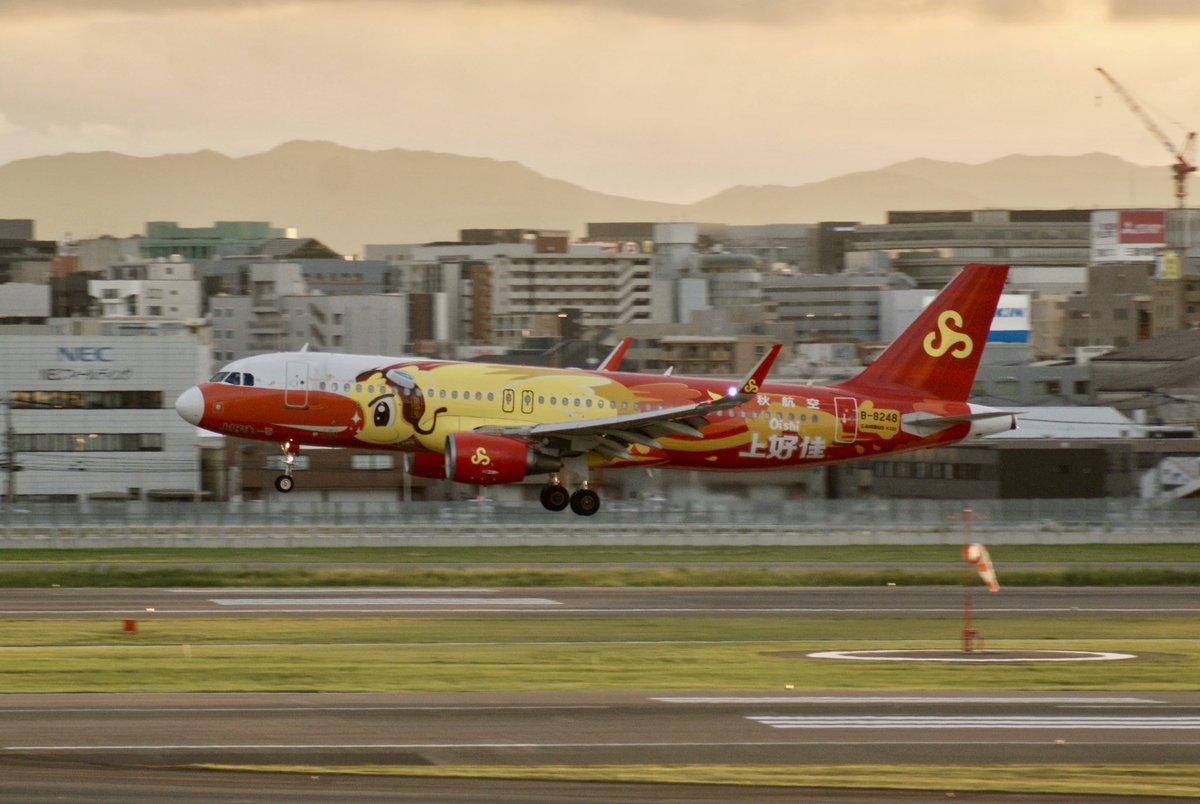 yuko_kamioshi1's tweet image. Spring Airlines / 春秋航空🇨🇳

Airbus A320-214
Reg:B-8248
(Oishi Livery)

Data:2025.9.15 / Fukuoka Airport📸

#fukuokaairport #springairlines
#福岡空港 #春秋航空 #展望デッキ
#空港好き #飛行機撮影 #飛行機写真
#航空ファン #spotter #飛行機好き