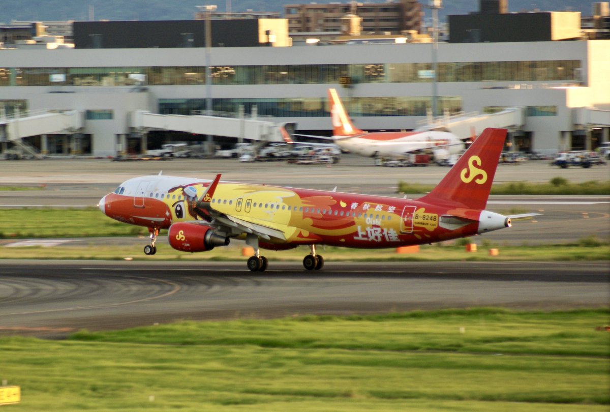 yuko_kamioshi1's tweet image. Spring Airlines / 春秋航空🇨🇳

Airbus A320-214
Reg:B-8248
(Oishi Livery)

Data:2025.9.15 / Fukuoka Airport📸

#fukuokaairport #springairlines
#福岡空港 #春秋航空 #展望デッキ
#空港好き #飛行機撮影 #飛行機写真
#航空ファン #spotter #飛行機好き
