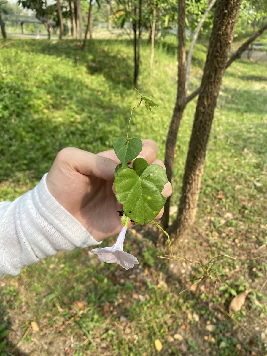 if you pay enough attention you’ll find love everywhere you look