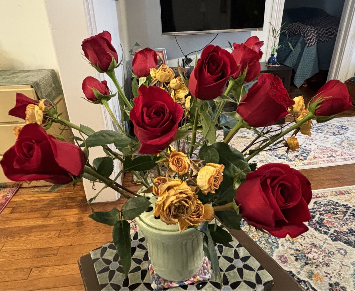 Kristi K. Higgins 🦋 tweet media