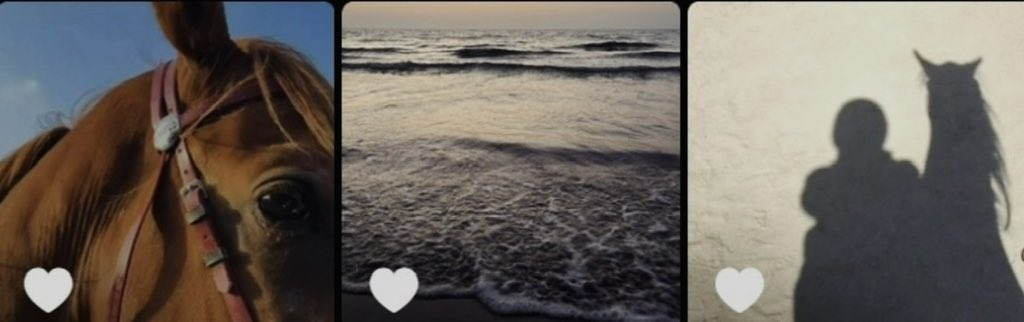 ☀︎︎ tweet media