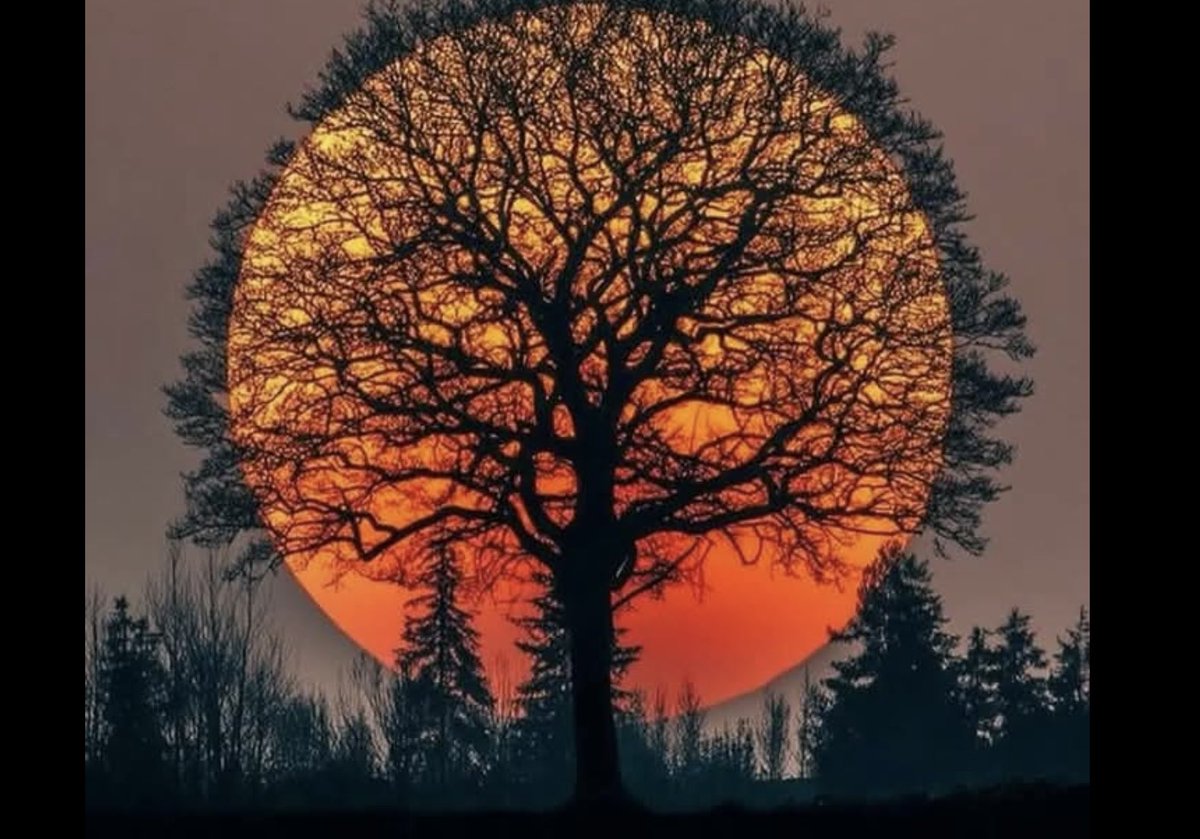 Dennis Locorriere tweet media