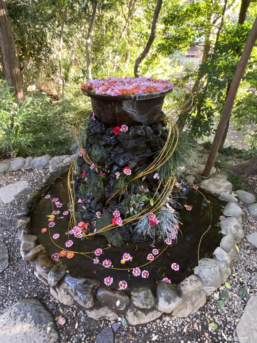 のりこ🌿植物で氣を整える養生セラピー (@riko8214) on Twitter photo 