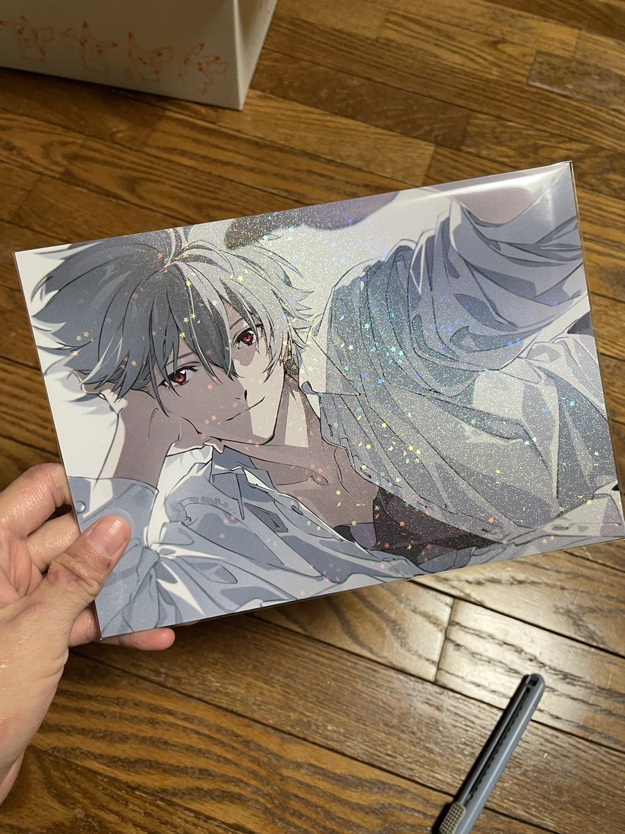 カヲルの写真集届いた これは特典