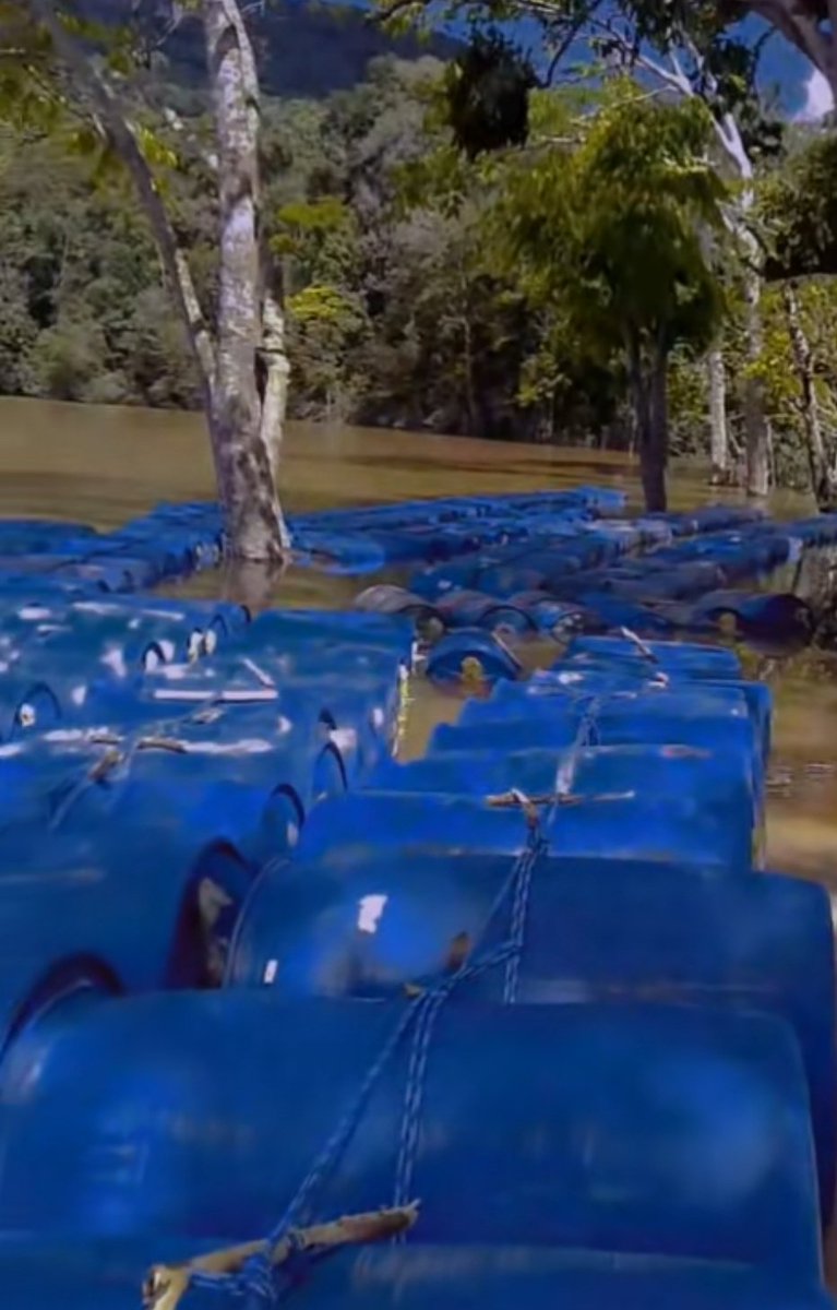 Fritz_A_Sanchez's tweet image. 🚨Sabían q cada motor en las balsas consumen 300 litros d combustible x 24 horas 👀

📢 ¡Estás 49 balsas consumen 14.700 lts de combustible diarios!

Si la #FANB custodia la venta d combustible, ¿cómo 15mil lts  llegan diariamente pa' q no se detenga la actividad aurífera ilegal?