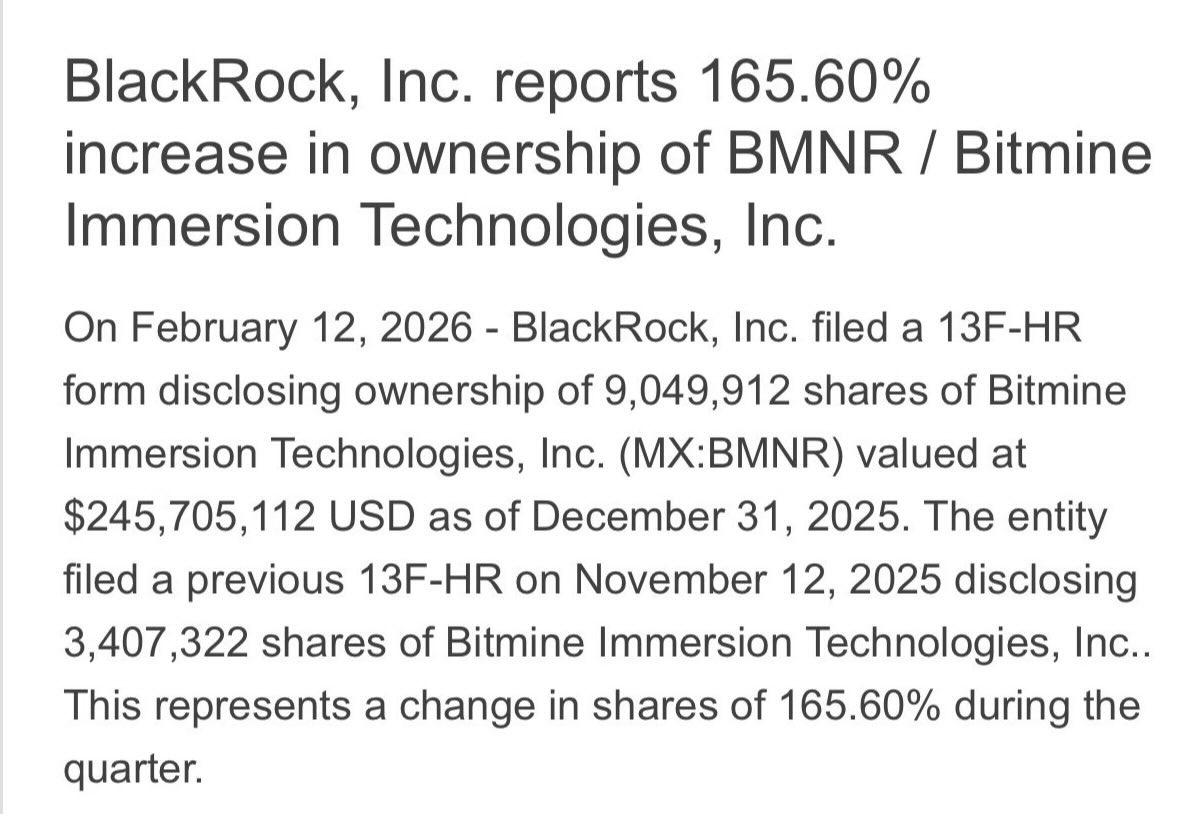 BMNR Bullz tweet media