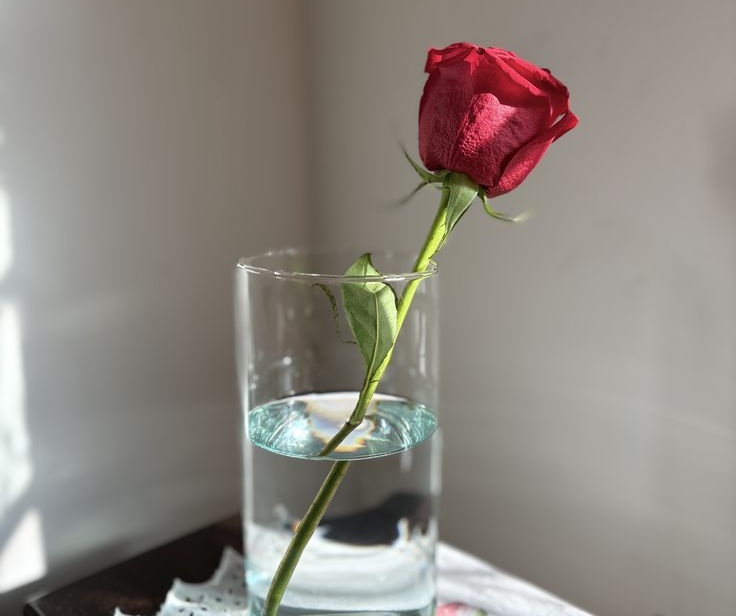 ㅤ
ㅤㅤTinggalkan setangkai mawar di atas meja <a href="/choralim/">𝒂𝒖 𝒄𝒍𝒂𝒊𝒓 𝒅𝒆 𝒍𝒂 ℒ𝒖𝒏𝒆.</a>.
ㅤ