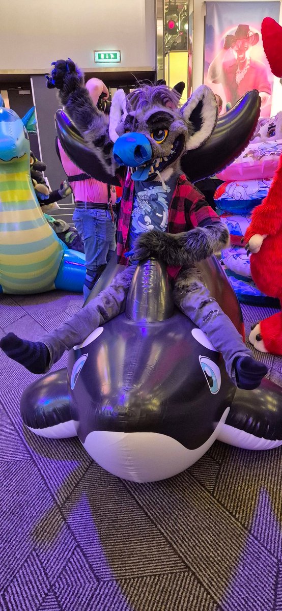 ENIGMA 🔜 CFz tweet media