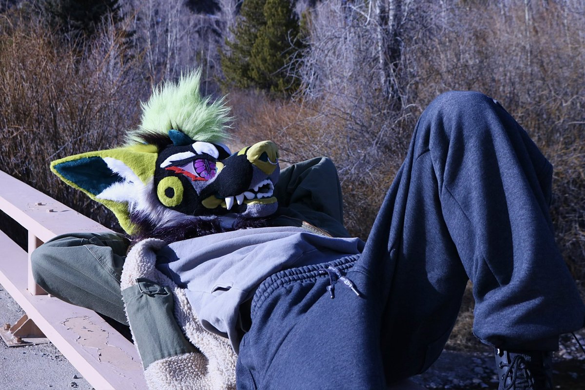 Swamp Dawg @FWA tweet media