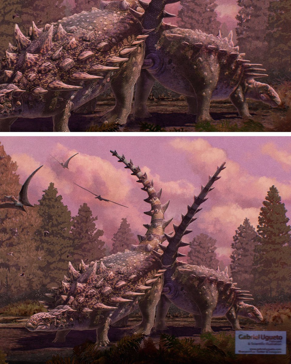 Gabriel N. U. tweet media