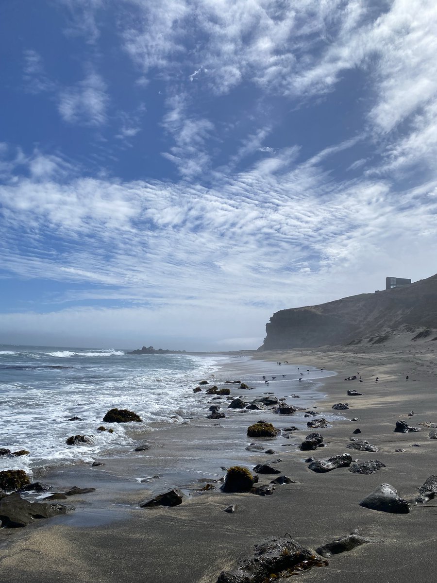 botsaen's tweet image. #chill