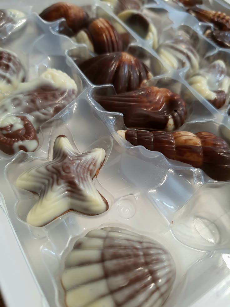 MMJAirii's tweet photo. @IR0NICBLUE They don't make shrimp shaped chocolates, so these are close enough. https://t.co/xF4KLSn83Z
