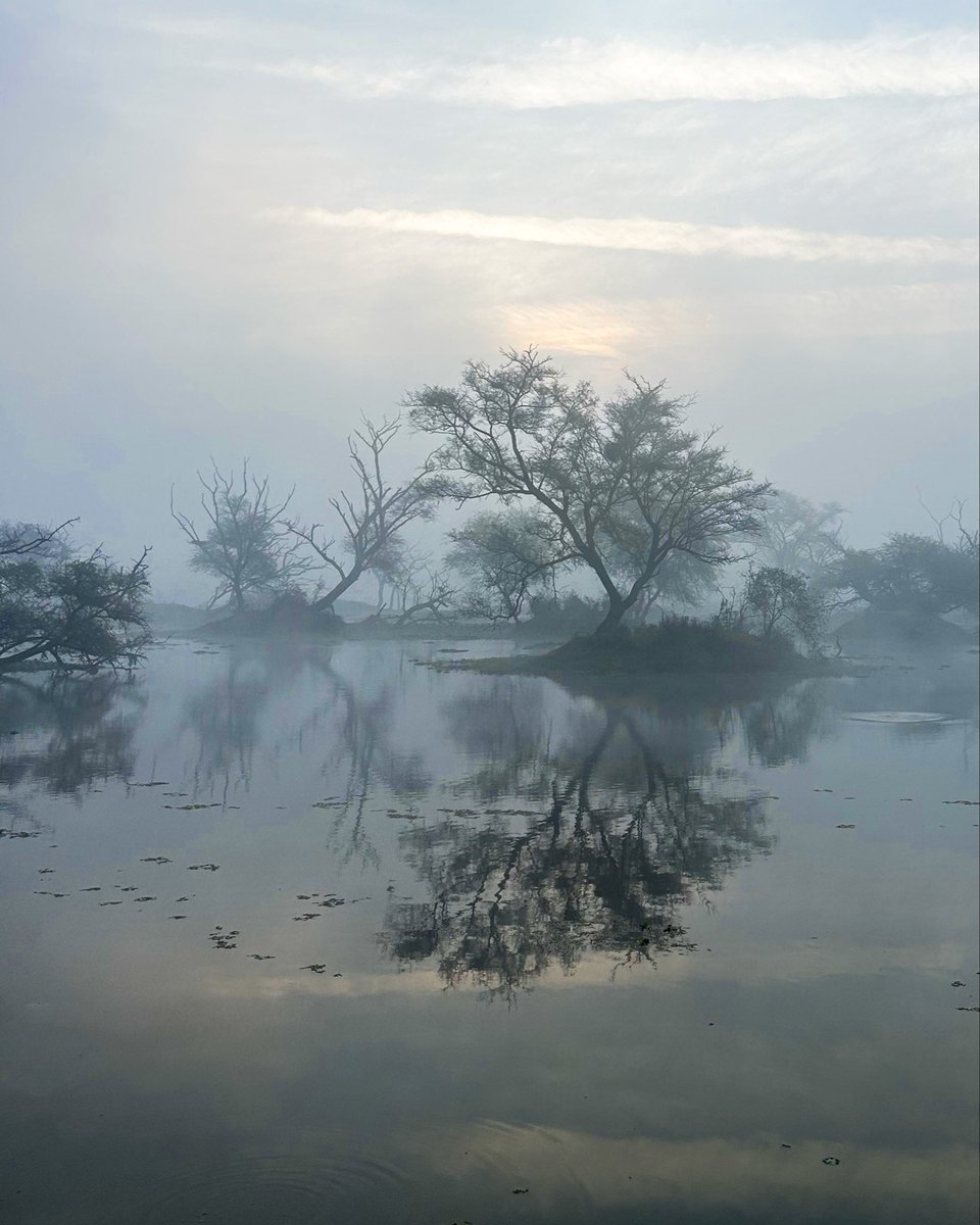 utkalapc's tweet photo. Wild moments. Perfect frames. Unforgettable memories.

Our wildlife photography workshop at Keoladeo National Park &amp; Chambal was pure magic.

Guided by award-winning wildlife photographer Srikrishna Das, our participants captured powerful frames and leveled up their skills. ✨ https://t.co/kSgSli0qgM