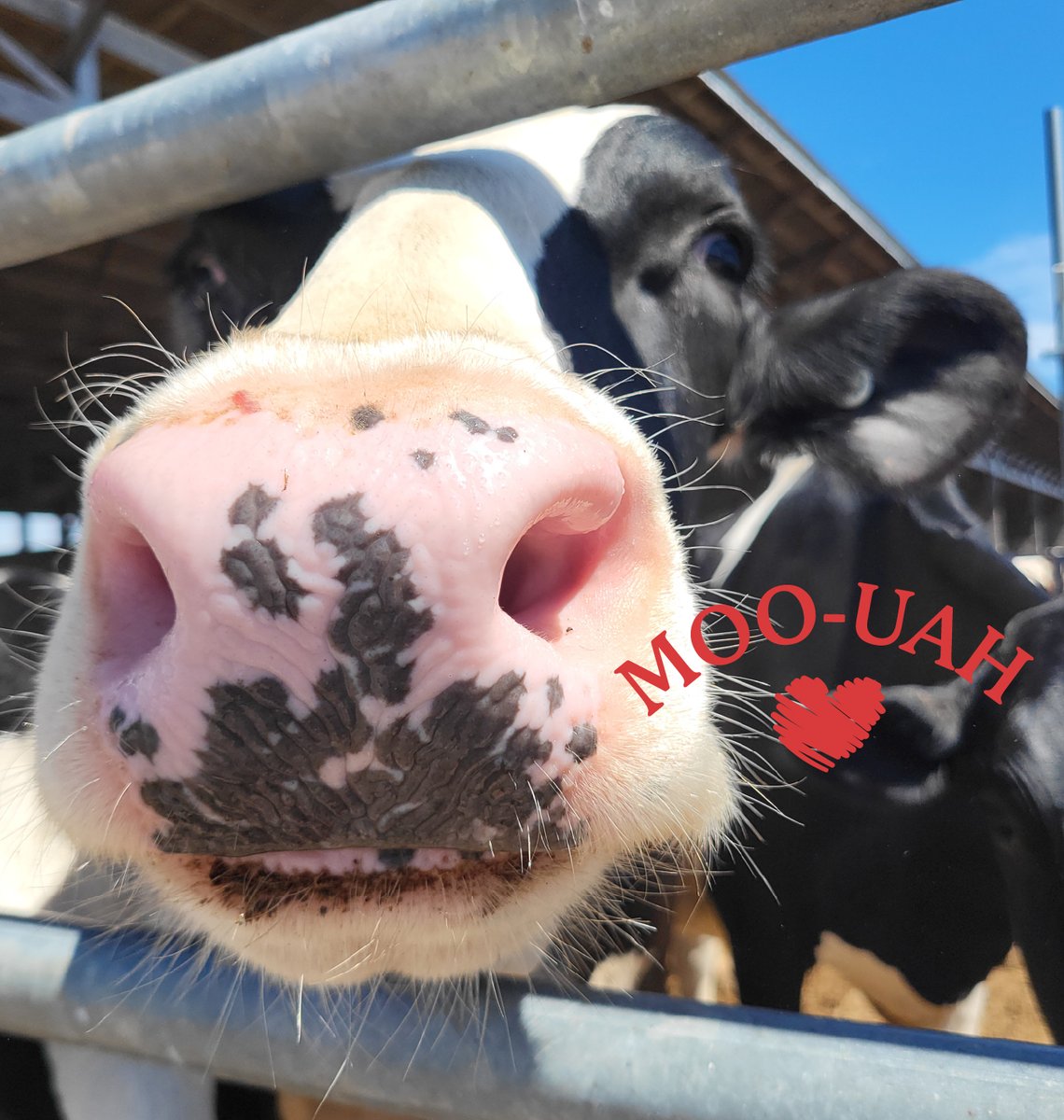 Prairie Farms Dairy, Inc. tweet media