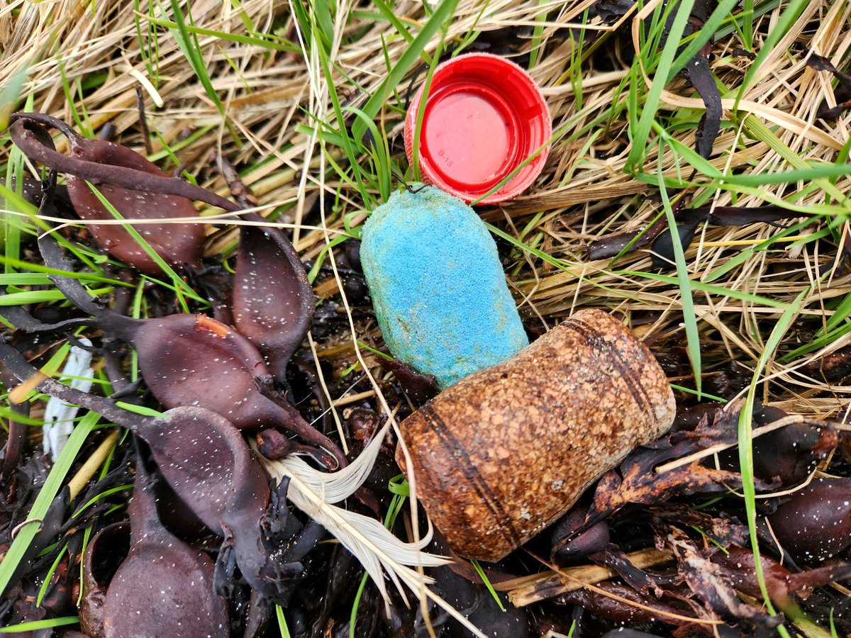 Sandlarks tweet media