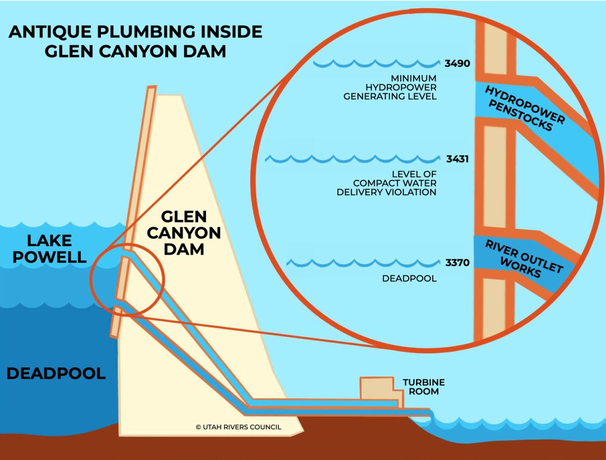 Zak 🦦 Podmore tweet media