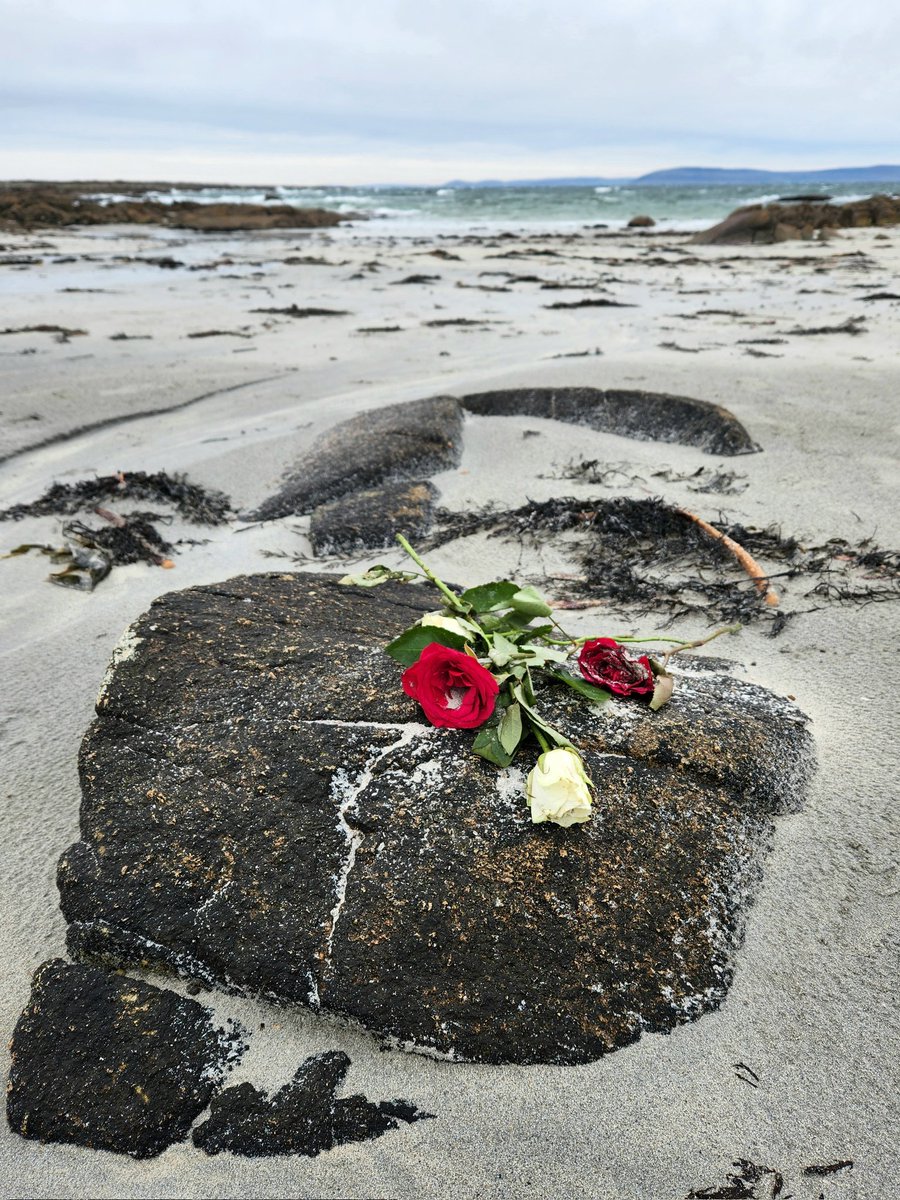 Sandlarks tweet media