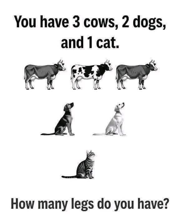 Eva McMillan ♥️ tweet media