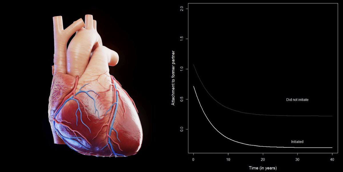 NTFabiano's tweet image. It takes ~8 years for the emotional bond to an ex-partner to fully dissolve.

It takes ~8 years for the majority of cells in the human body to be replaced.