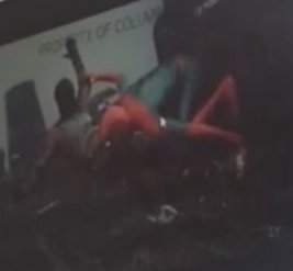 camaleaoao nhao - cooms abertas 🦎🏳️⚧️🏳️⚧️ tweet media