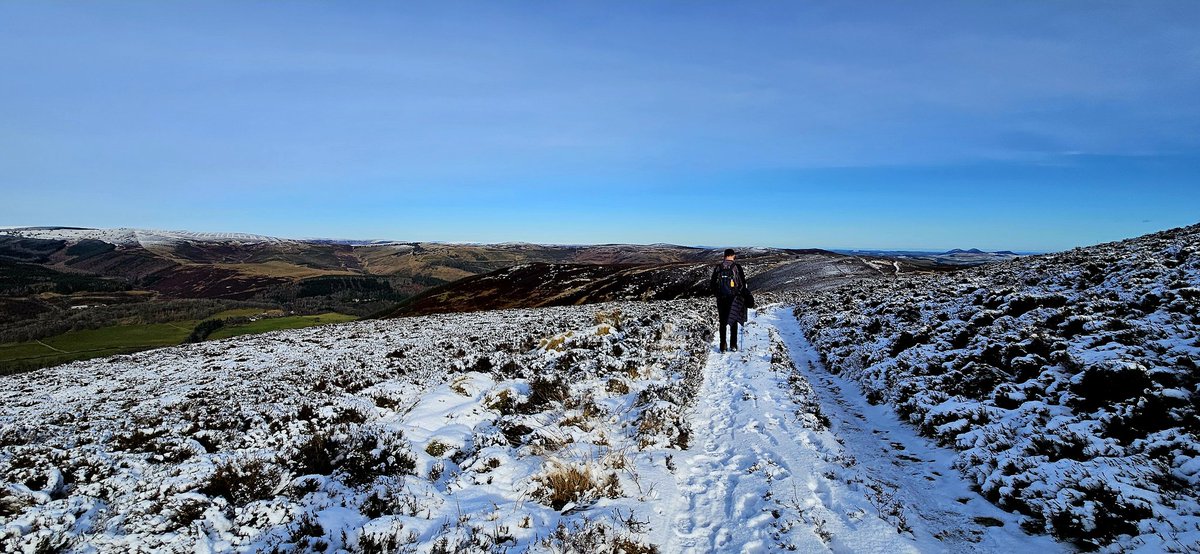 blonde_on_bikes's tweet photo. Snow and sun on the Duchess Drive #winterwalk #snow #DuchessDrive #Bowhillestate #ScottishBorders https://t.co/GcwbsEGXGa