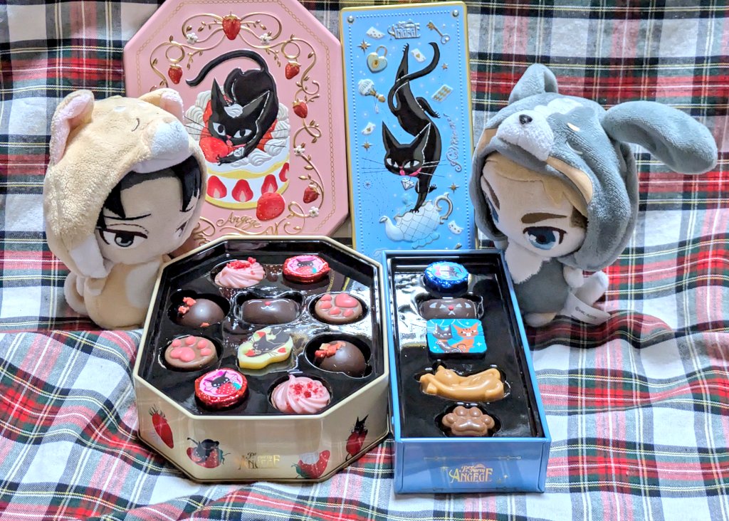 バレンタインデーにぱぴズにチョコあげよーって思ってたのに、すっかり