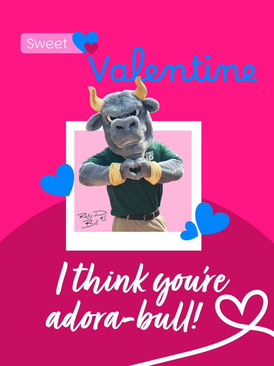 USF St. Petersburg tweet media