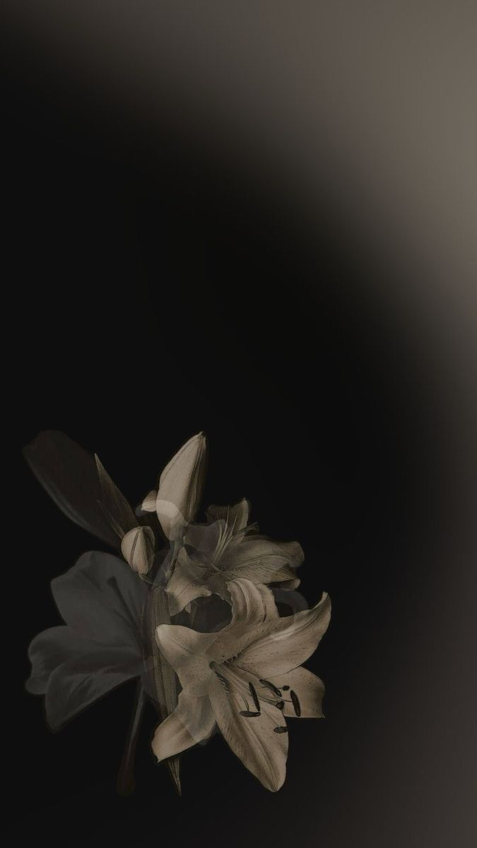 devthq's tweet image. ۶ৎ   ’   busco   mutis      !
   ﹙ #kpoptwt    |   #stantwt ﹚
      she   —   her      09

                         ♱
𝐮𝐭𝐥𝐬   :   enha   ’   straykids    ’  aespa  ’ lngshot 
𝐨𝐭𝐡𝐞𝐫  :   chase atlantic       
              ♥︎   /   ↻