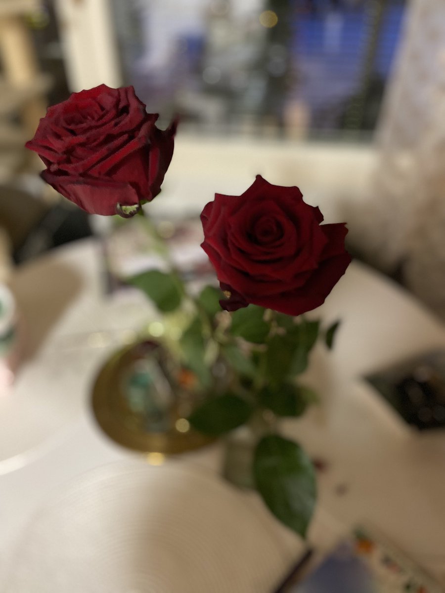 Se ei ole mies eikä mikään, jos ei hae vaimolle sekätyttärelle kylän komeimpia ruusuja läpi pakkasen ja viiman. Kyllä mä suklaatakin ostin ❤️ 
Hyvää ystävänpäivää