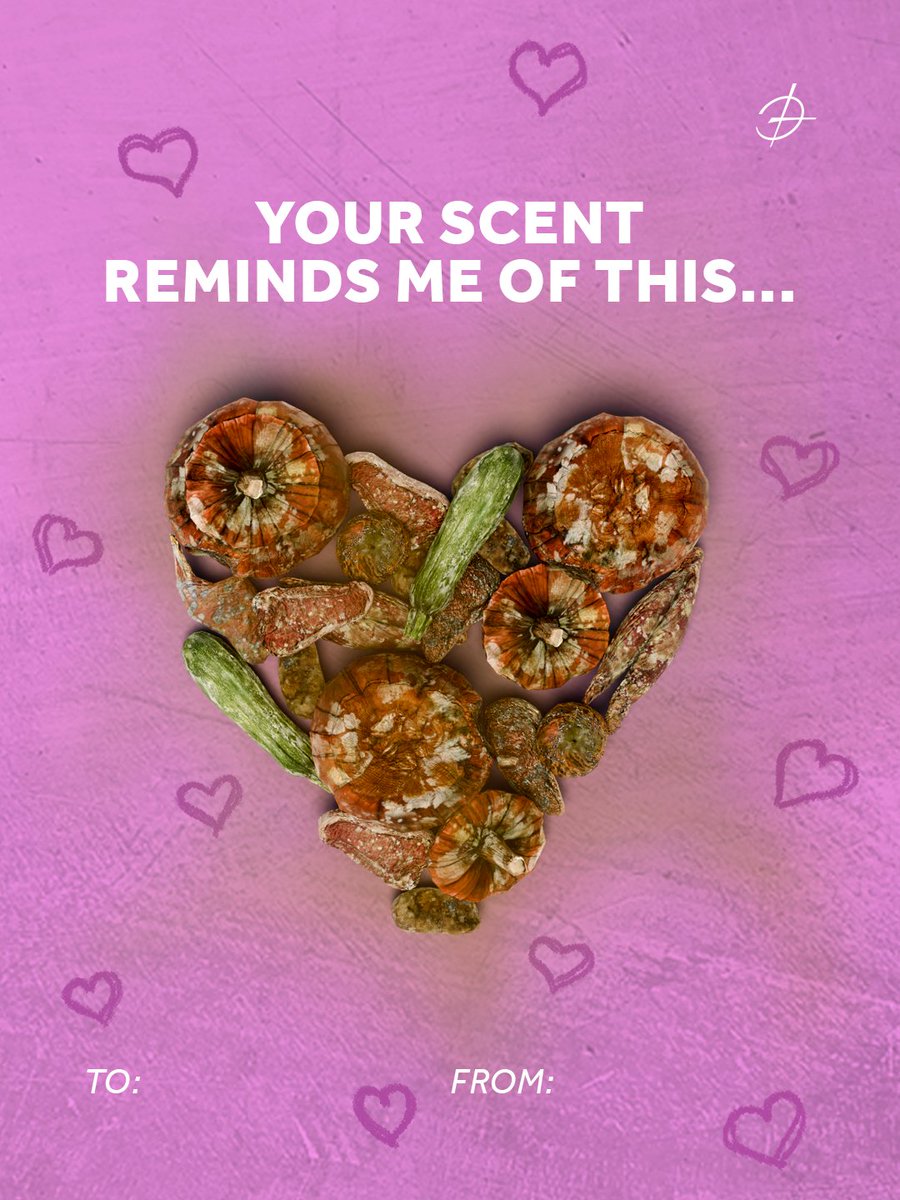 Bohemia Interactive tweet media