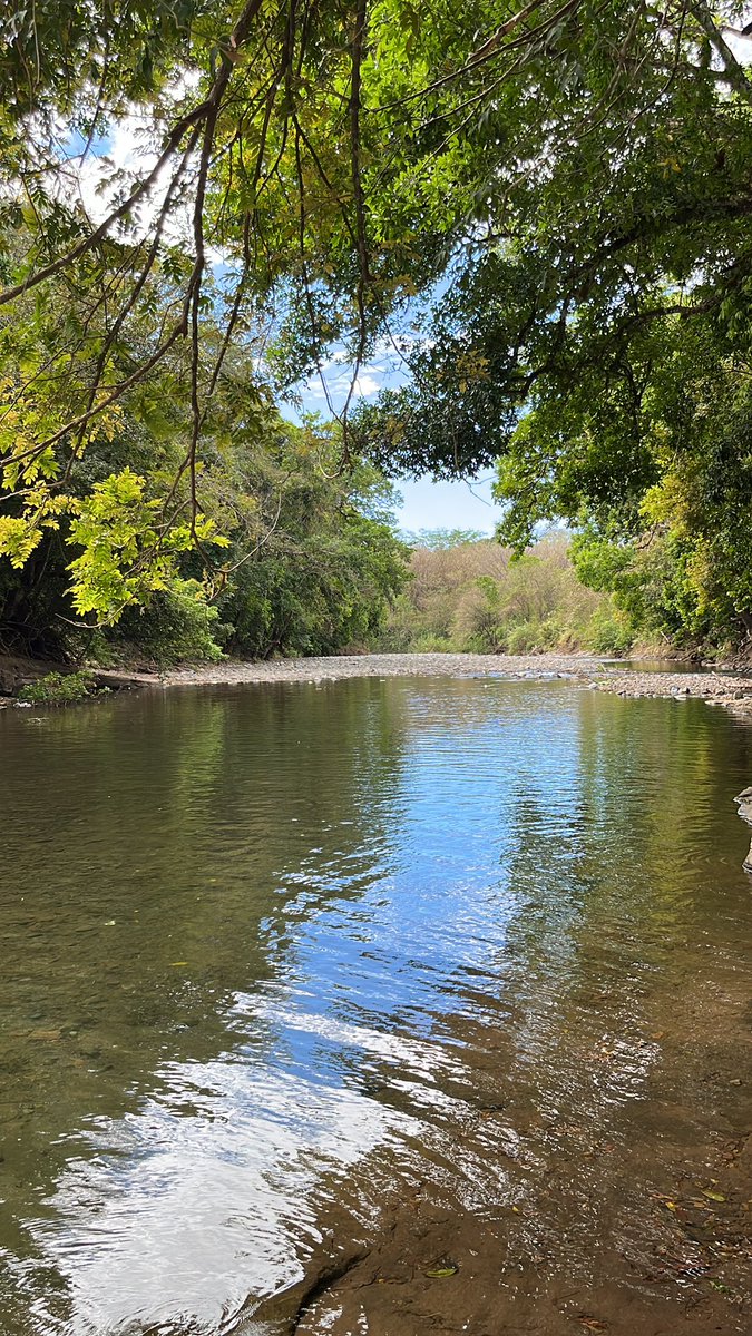 CryptoForge's tweet image. Because not everything is crypto, taking some relaxing time in the mountains.