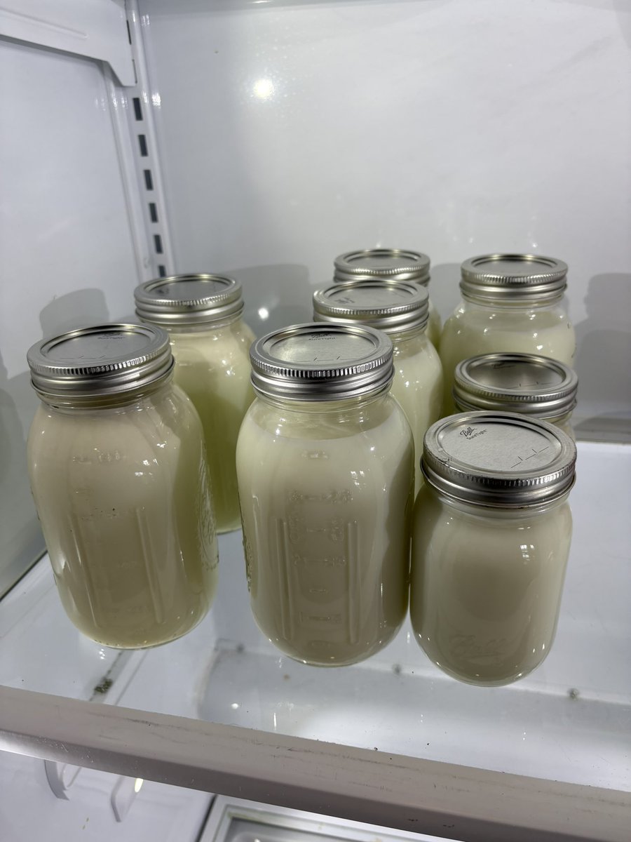 Grass collects the suns energy and turns over half of it into cellulose a carbohydrate that humans cant digest

Cows can… They convert it into sugars fats and proteins and allow us to harvest it 2x times a day

Grass is Gods perfect solar panel and cows are Gods perfect battery