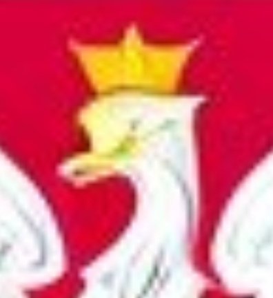 rzegrzxg's tweet photo. Generowanie godła w AI powinno podpadać pod art. 137 KK o znieważaniu symboli narodowych https://t.co/gbL28LD2l0