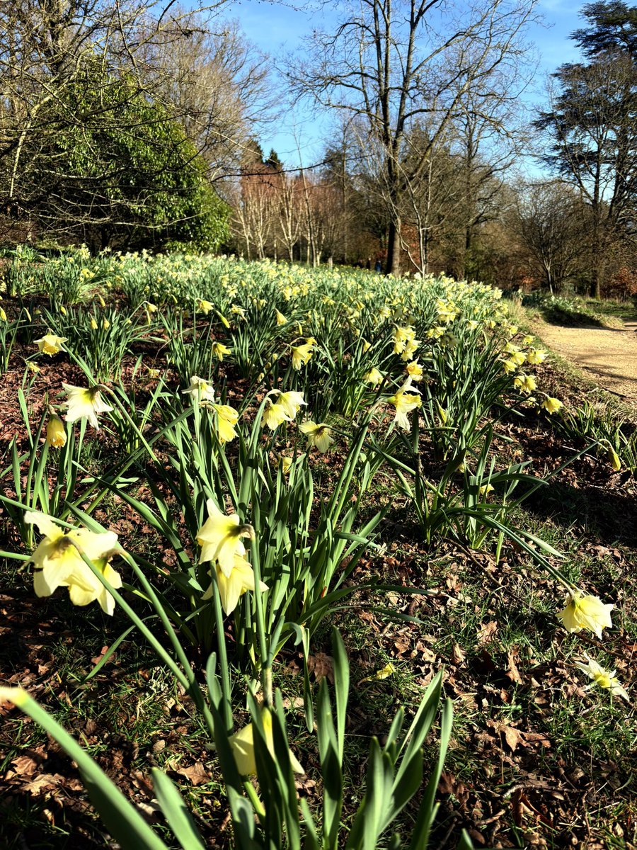 @abestishhead tweet media